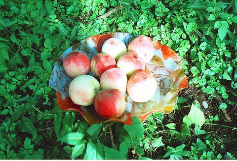 A peach of a getaway - Taipei Times