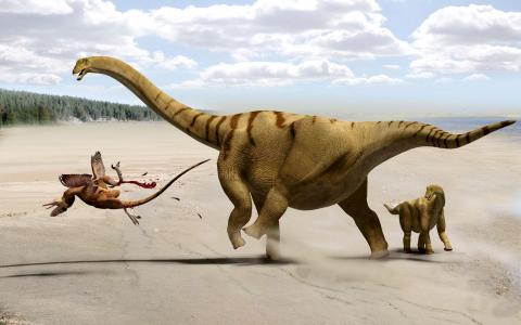 ‘Thunder Thighs’ dinosaur discovered - Taipei Times