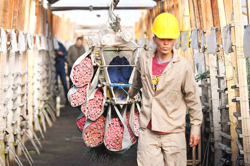 Flower factory - Taipei Times