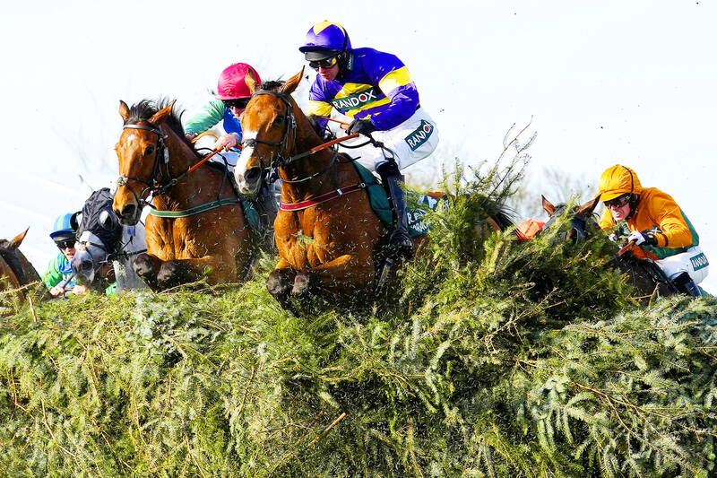 Corach Rambler outfoxes rivals at National - Taipei Times