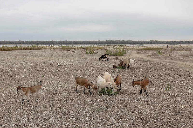 ‘Ecocide’: how war and climate change are often linked - Taipei Times