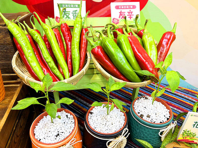 New chilies aim to ease spiciness - Taipei Times