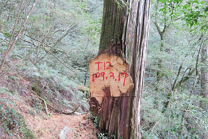 Ministry, legislators submit versions of draft amendments to Forestry Act