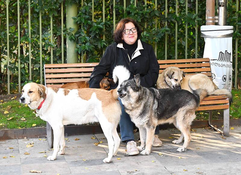Georgia’s street dogs stir affection, fear and debate
