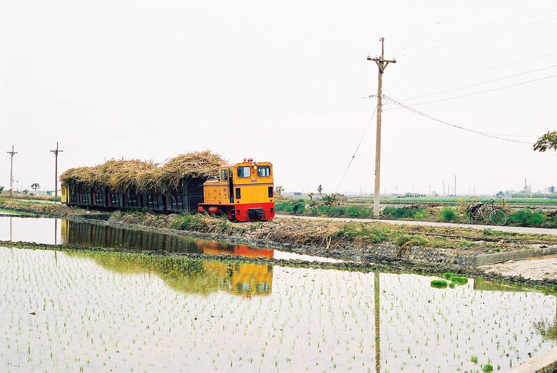 Taiwan in Time: Chasing the last sugar trains