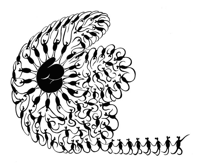 American democracy after Trump