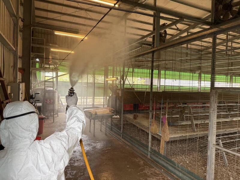 Taichung egg farm operator detained in avian flu case
