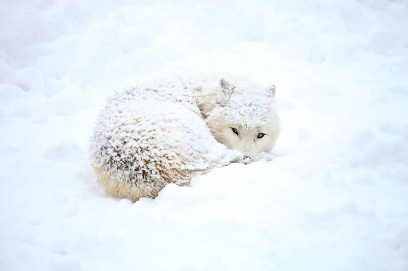 ENGLISH DIGEST 實用美語 (空中美語)