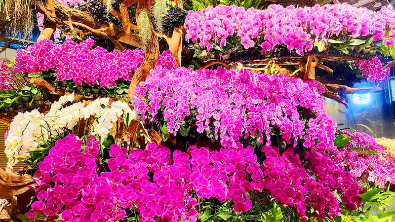 Taiwan-US trade agreement: US tariff on farm goods sees major decrease with deal