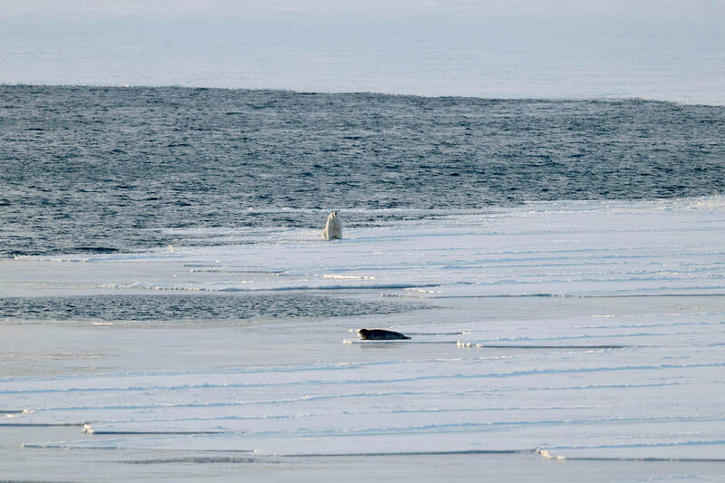 After Greenland, people on the arctic island Svalbard wary of great powers