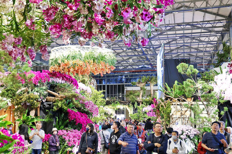 International orchid expo enters full bloom in Tainan