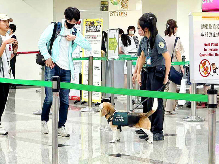 Agency urges returning fans to follow food rules