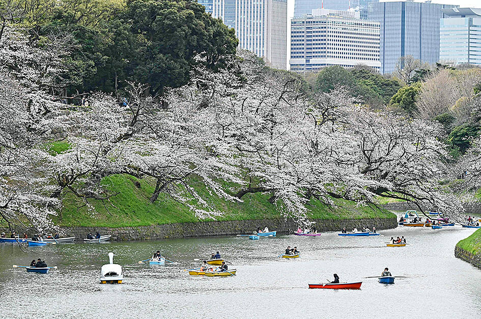 ‘Perfect Japan’ posts spark Gen Z social media backlash