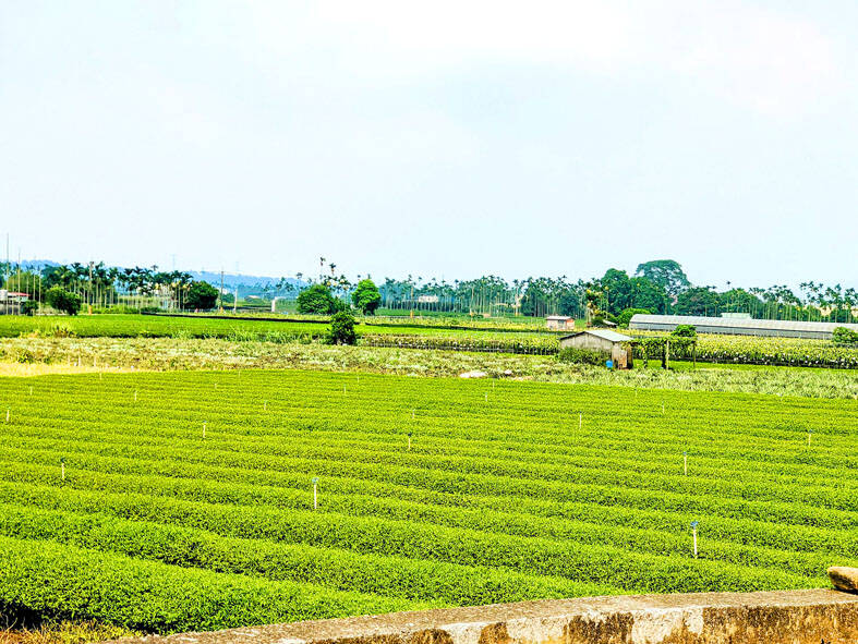Nantou farmers protest outside Executive Yuan