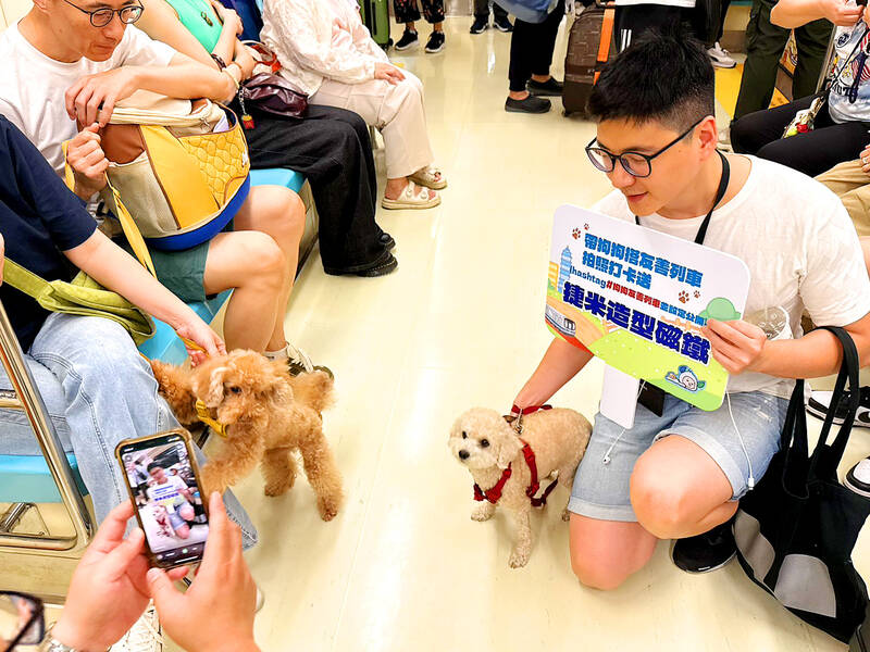 TRTC to continue to assess cat-friendly MRT transit