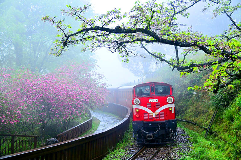 Alishan audio guide to feature local band and students