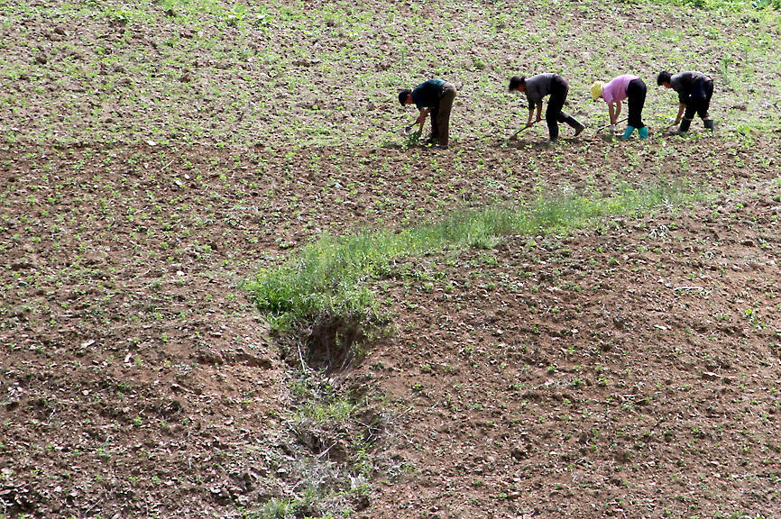 North Korea faces a ‘severe’ drought, state media reports