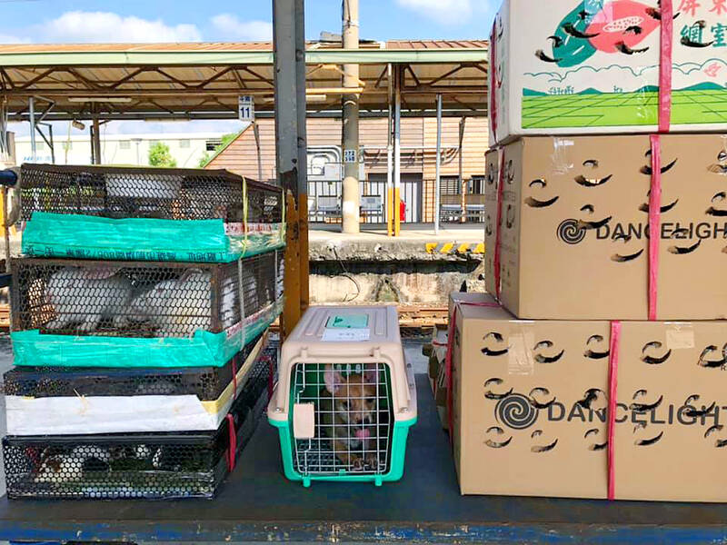 Ministry to better protect animals during transport