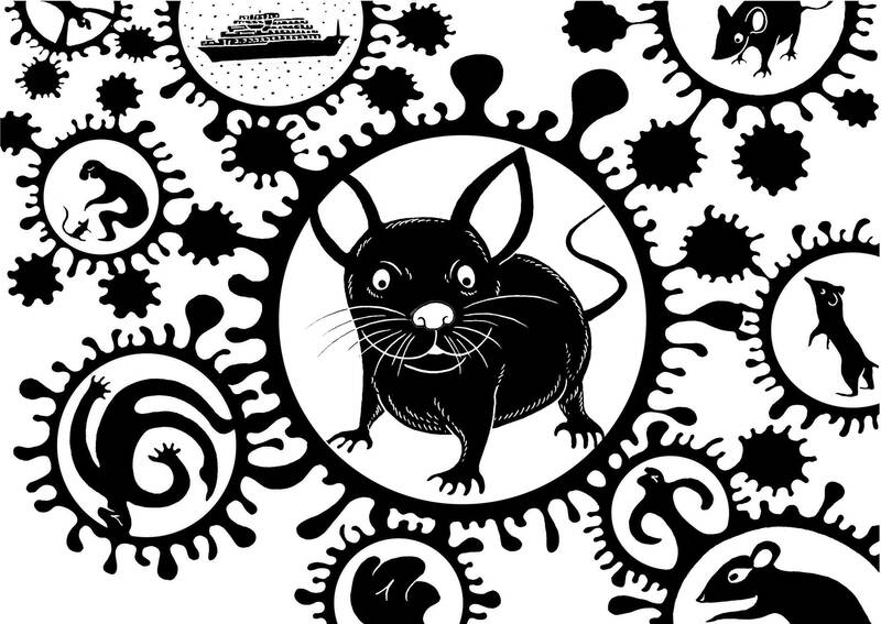 The Hantavirus outbreak is cause for caution, not panic