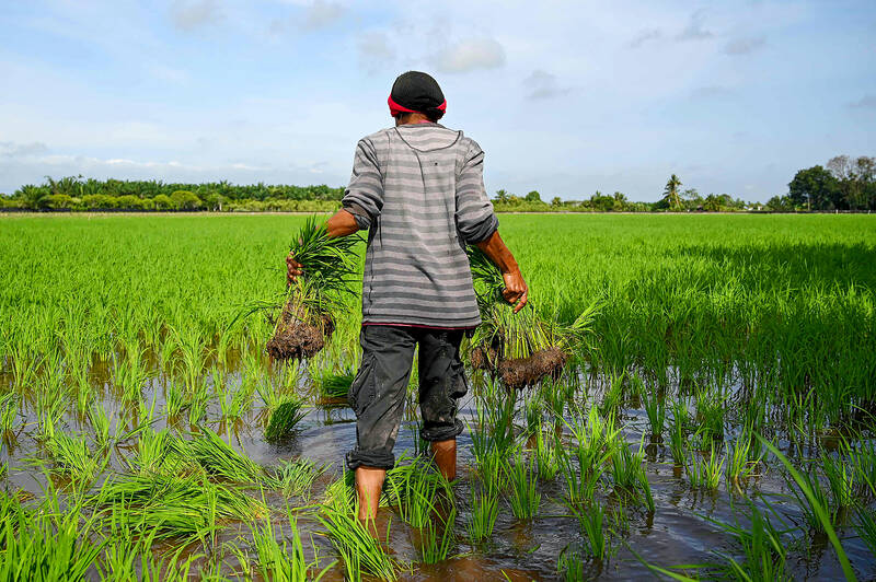 Malaysia eyes cloud seeding as drought drags on