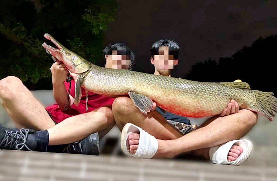 Pair of anglers to be fined for eating fish from 228 park