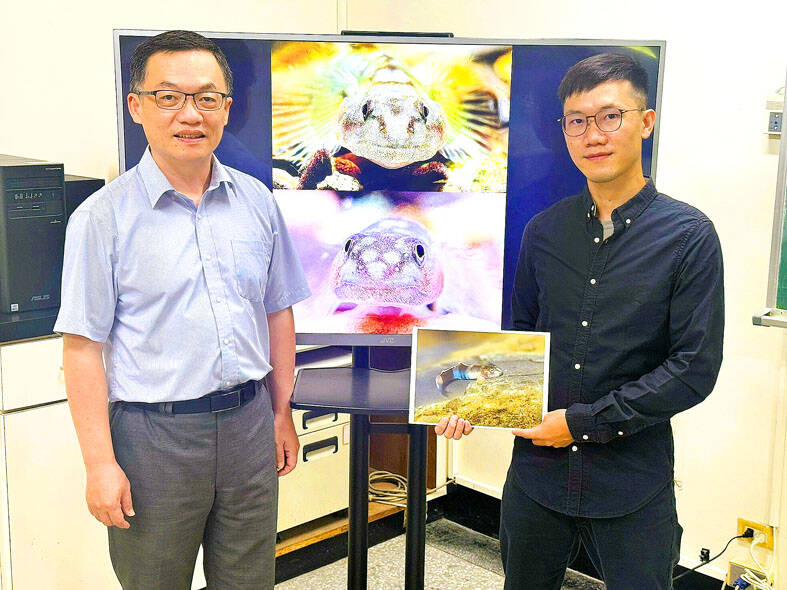New fish species named after indigenous tattooing