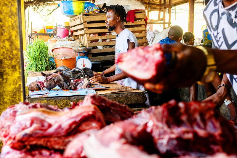 Experts warn of Ebola link to eating wild animals