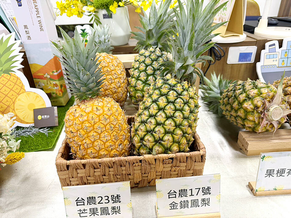 Researchers overcome pineapple fungal issue
