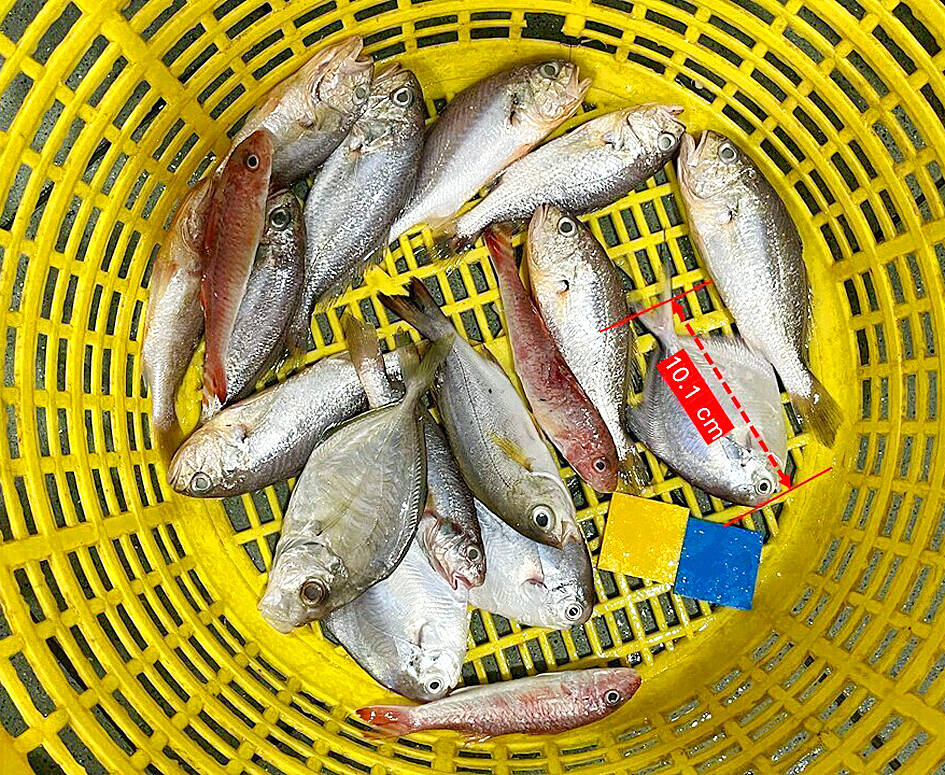 Greenpeace warns about overfishing