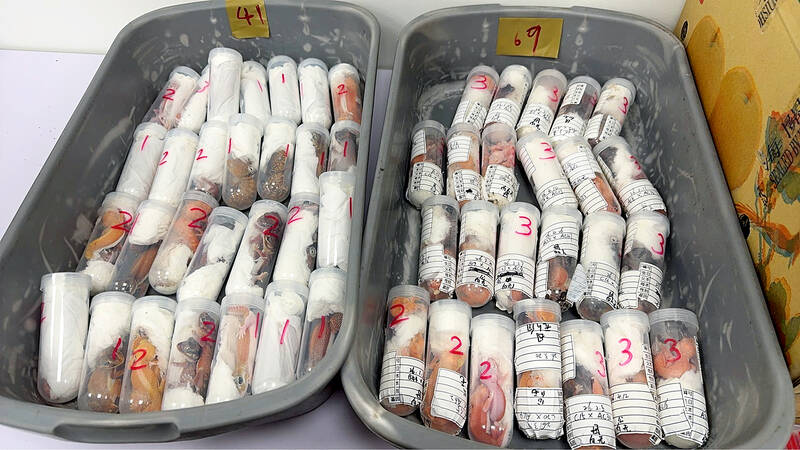 Traveler attempts to smuggle over 300 live animals