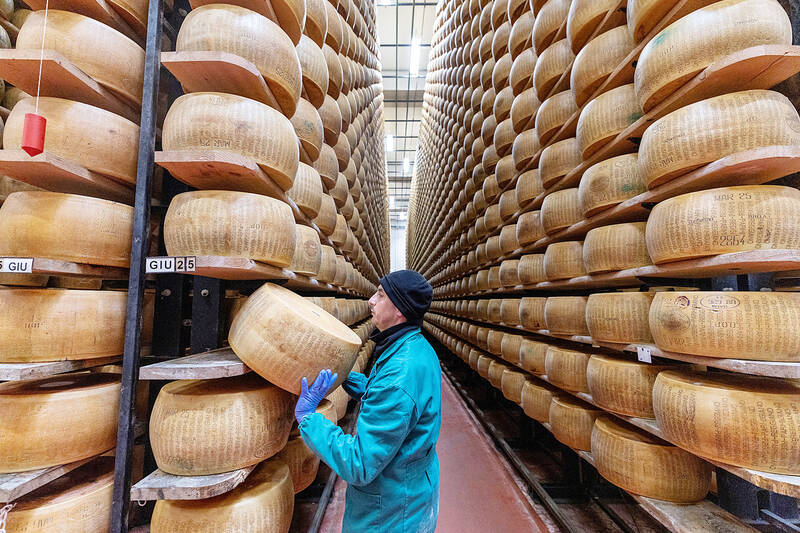 Extreme heat threatens Italy's Parmesan heartland