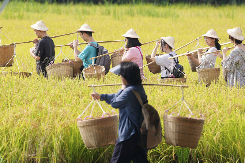 Back to basics - Taipei Times