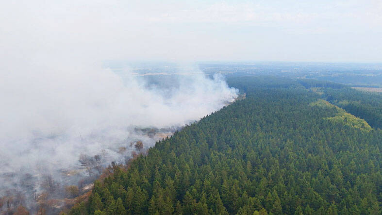 Belgium Wildfires Burn 3,000 Hectares in High Fens Nature Reserve