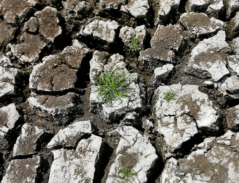 El Nino-driven drought slams Sri Lankan farms